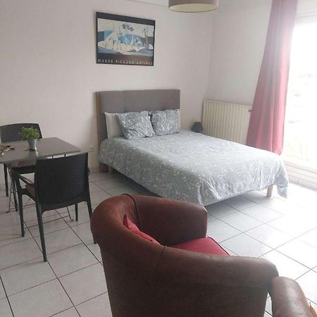 Residence D'Anjou - Grand Studio Avec Balcon Et Parking Privatif بيربينيو المظهر الخارجي الصورة
