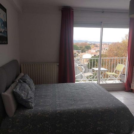 Residence D'Anjou - Grand Studio Avec Balcon Et Parking Privatif بيربينيو المظهر الخارجي الصورة