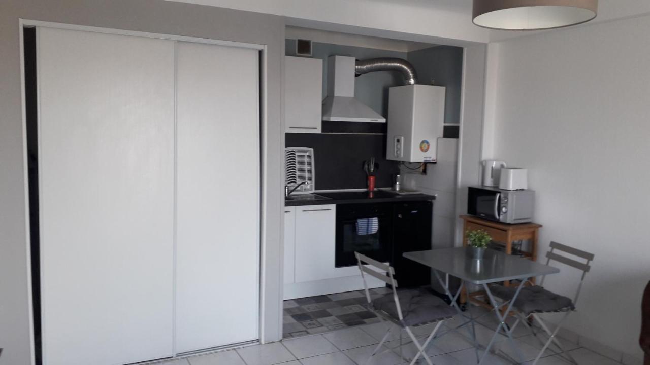 Residence D'Anjou - Grand Studio Avec Balcon Et Parking Privatif بيربينيو المظهر الخارجي الصورة