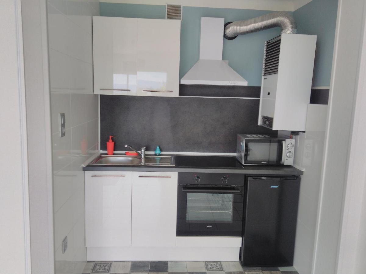 Residence D'Anjou - Grand Studio Avec Balcon Et Parking Privatif بيربينيو المظهر الخارجي الصورة