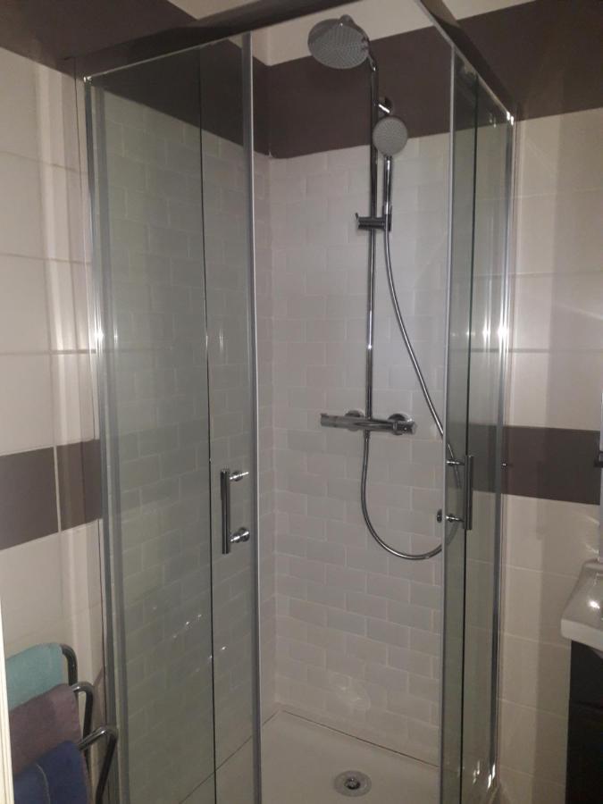 Residence D'Anjou - Grand Studio Avec Balcon Et Parking Privatif بيربينيو المظهر الخارجي الصورة
