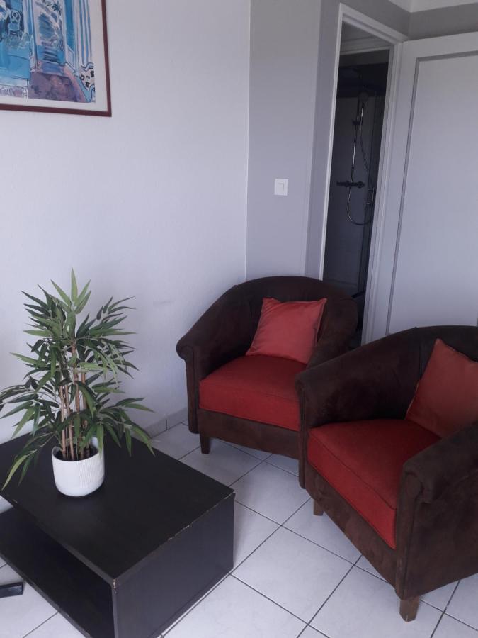 Residence D'Anjou - Grand Studio Avec Balcon Et Parking Privatif بيربينيو المظهر الخارجي الصورة