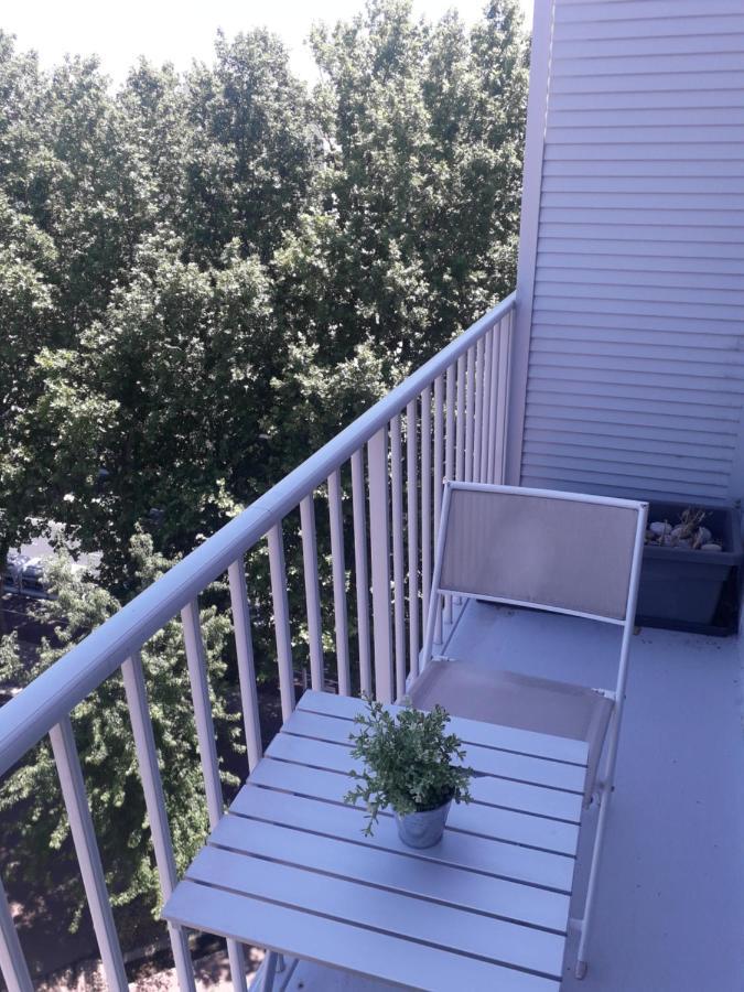Residence D'Anjou - Grand Studio Avec Balcon Et Parking Privatif بيربينيو المظهر الخارجي الصورة