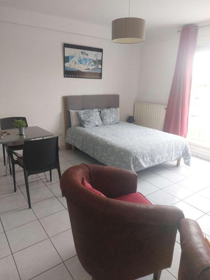 Residence D'Anjou - Grand Studio Avec Balcon Et Parking Privatif بيربينيو المظهر الخارجي الصورة